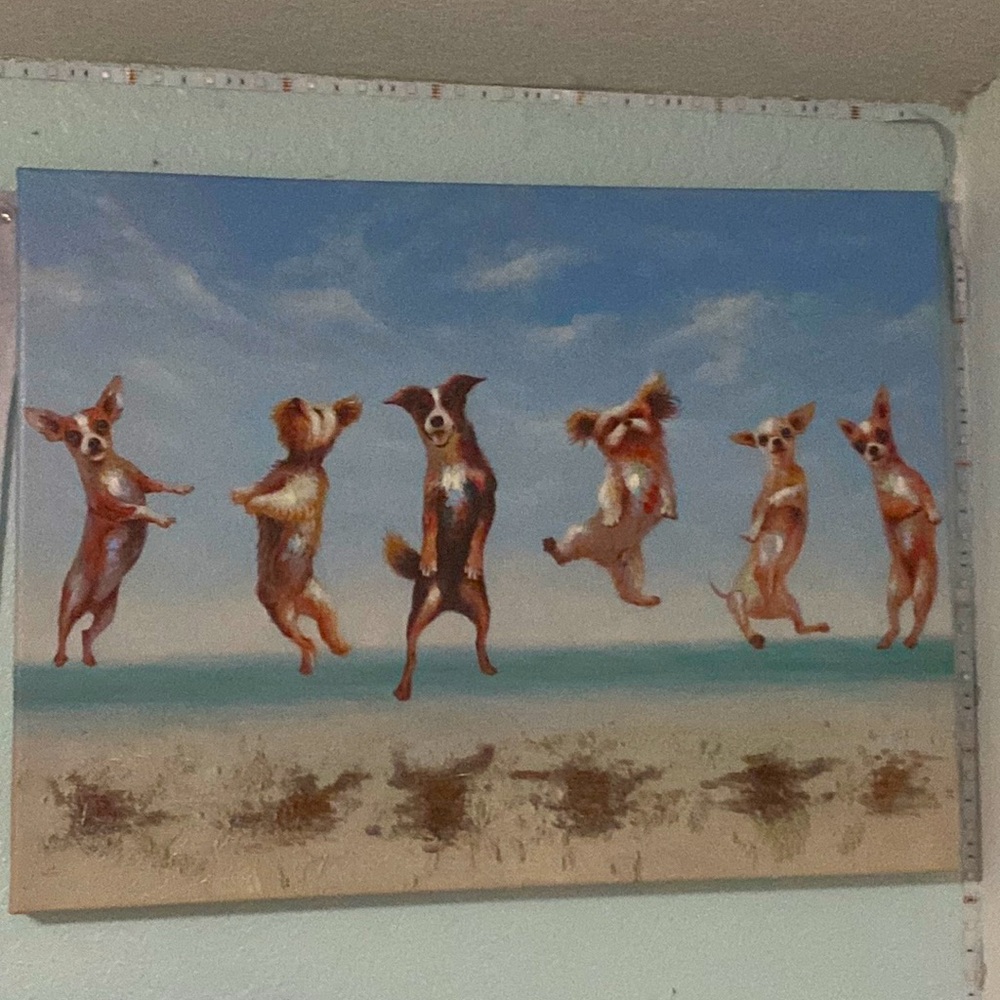 Jumping dog picture